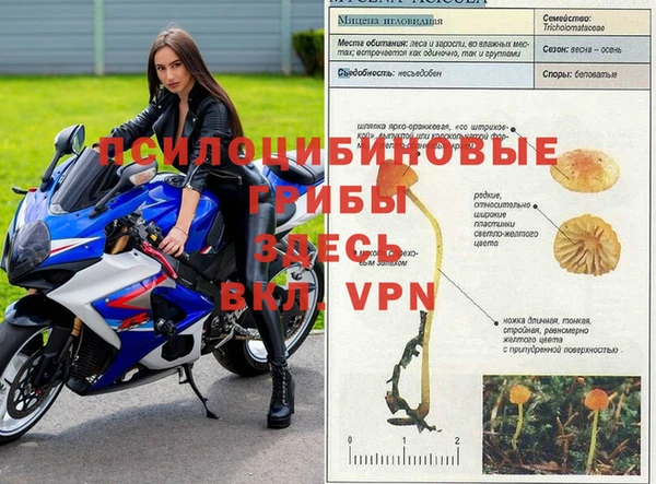 сатива Волосово