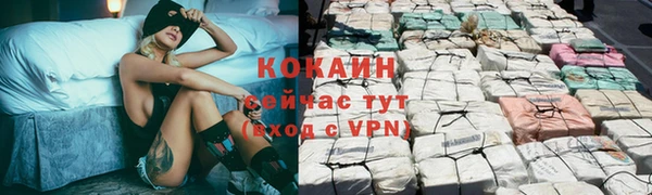 сатива Волосово