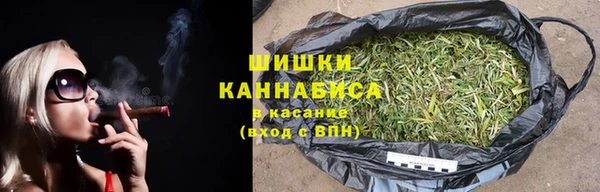 сатива Волосово