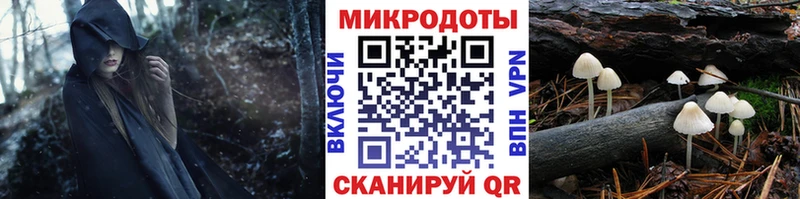 Галлюциногенные грибы Psilocybe  Купить  Чегем 